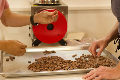 Bean to Bar Immersion Workshop - Chloe Doutre-Roussel